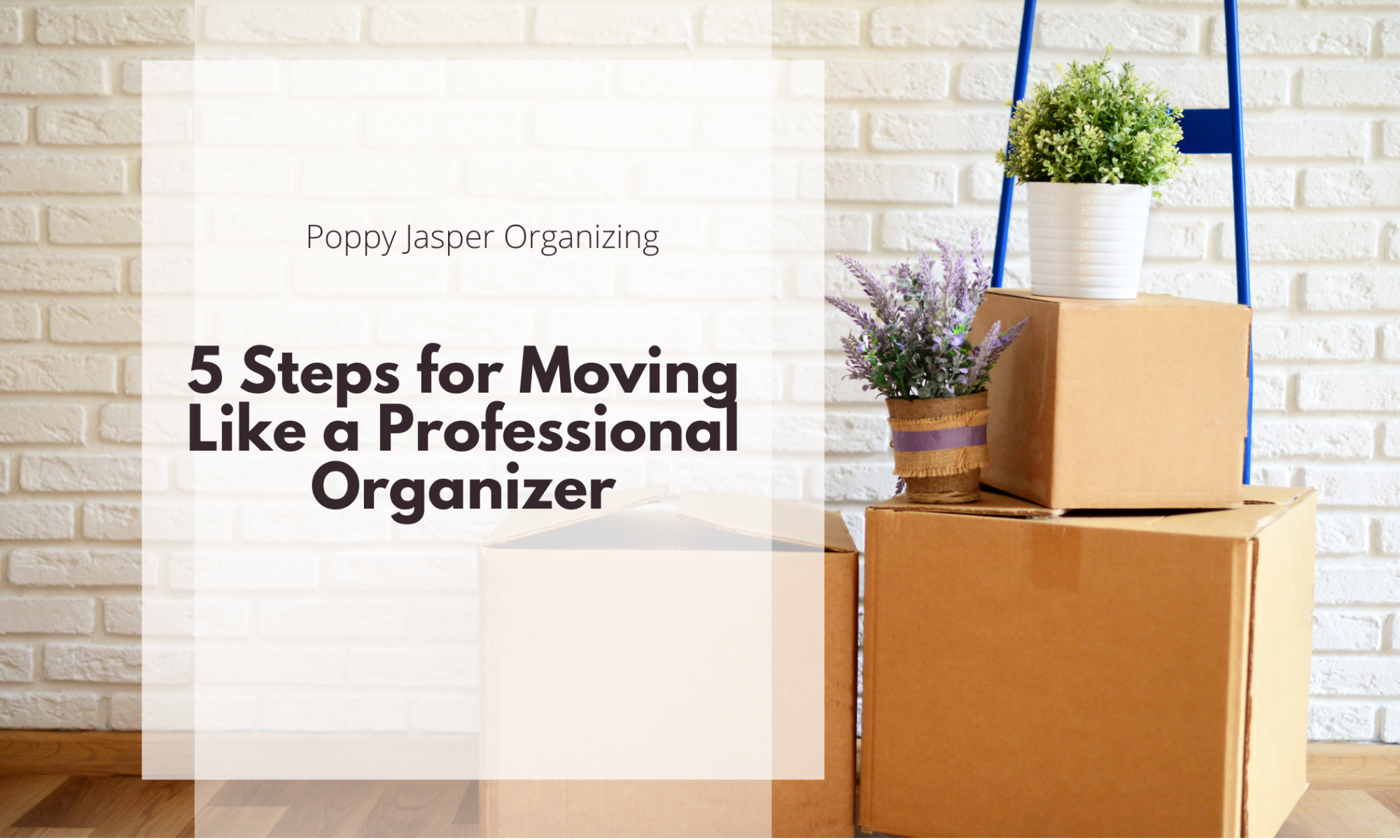 5 Steps for Moving Like a Professional Organizer